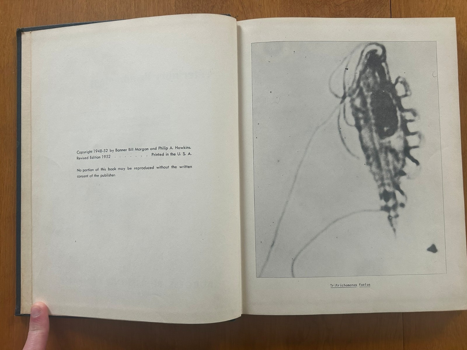 Vintage 1952 Revised Edition – Veterinary Protozoology