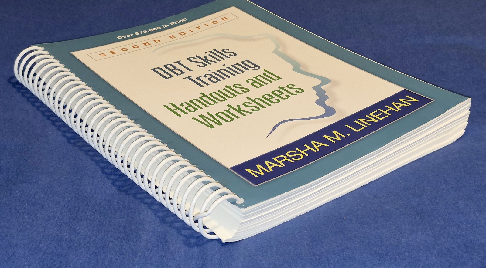 DBT Skills Training Handouts & Worksheets by Marsha M. Linehan – 2nd Edition