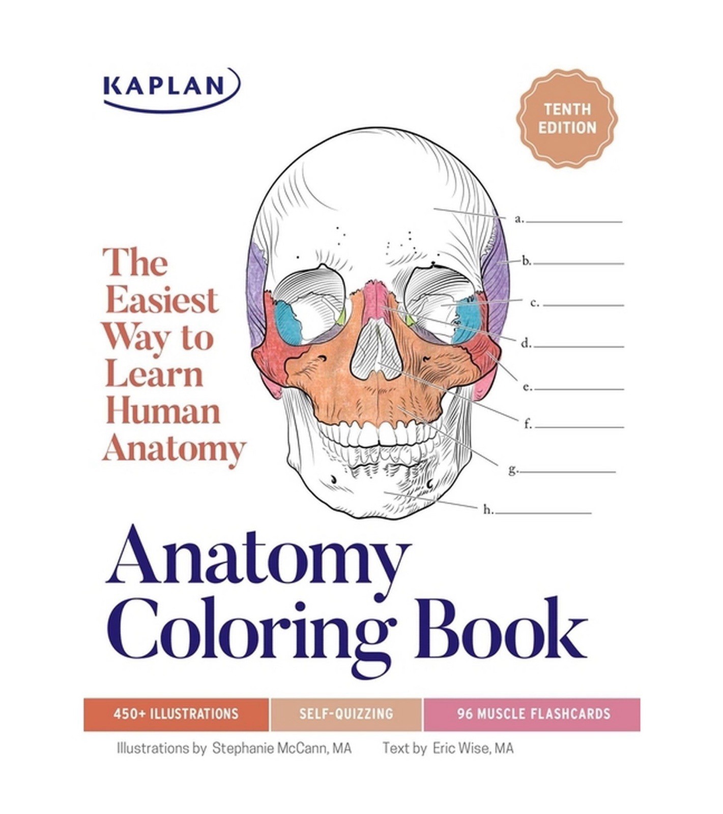 🥥 Anatomy Coloring Book with 450+ Realistic Medical Illustrations🆕