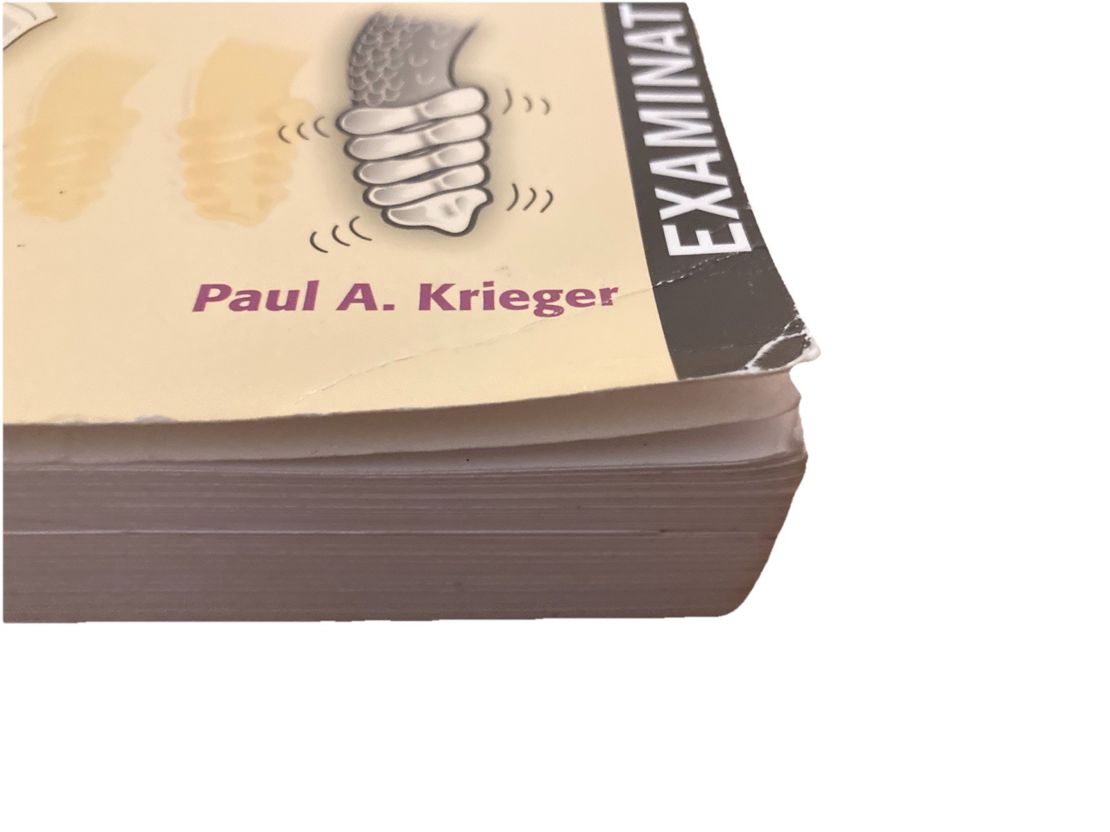 A Visual Analogy Guide to Human Anatomy & Physiology 3rd Ed. Exam Copy – GOOD