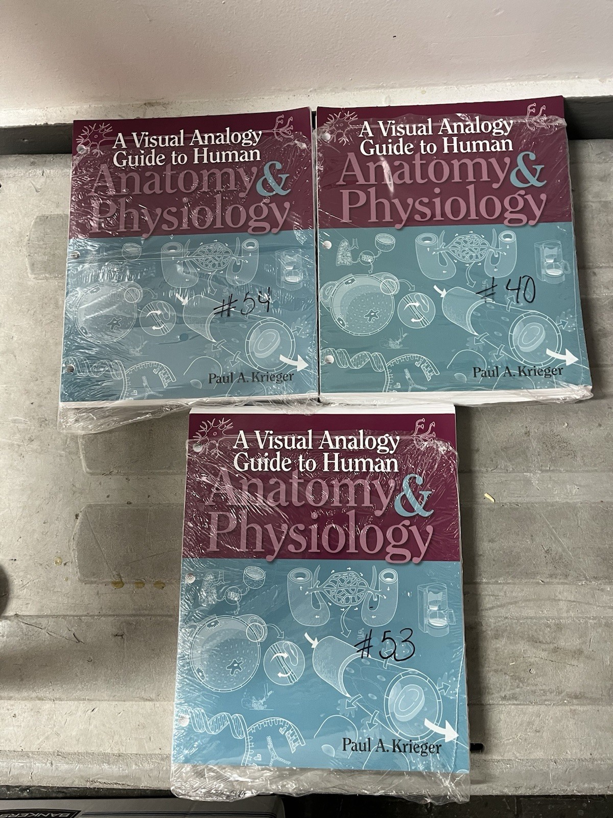 A Visual Analogy Guide to Human Anatomy & Physiology Paperback by Paul Krieger