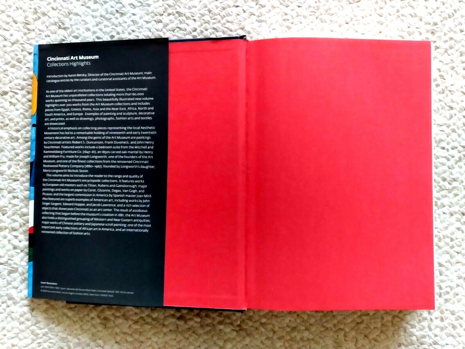Cincinnati Art Museum Collections Highlights Intro by Aaron Betsky Like New