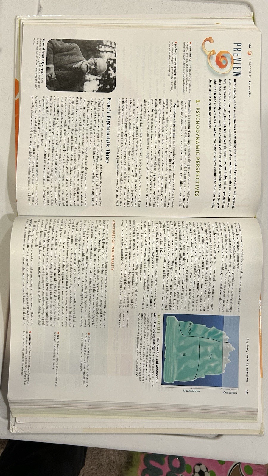 McGraw-Hill The Science of Psychology 2nd Edition Hardcover Laura A. King 2010