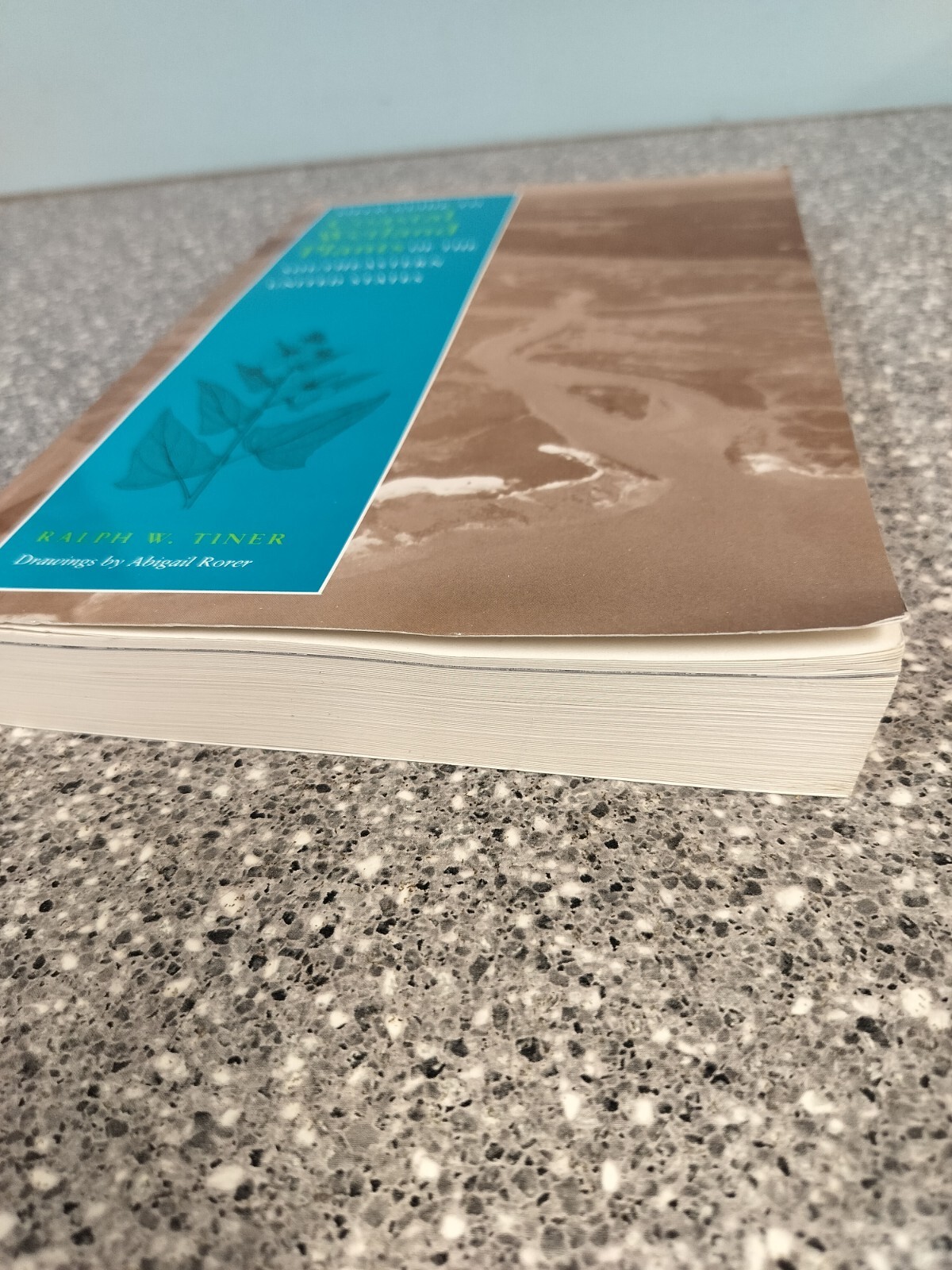 Field Guide to Coastal Wetland Plants of the Southeastern United States, Pape…