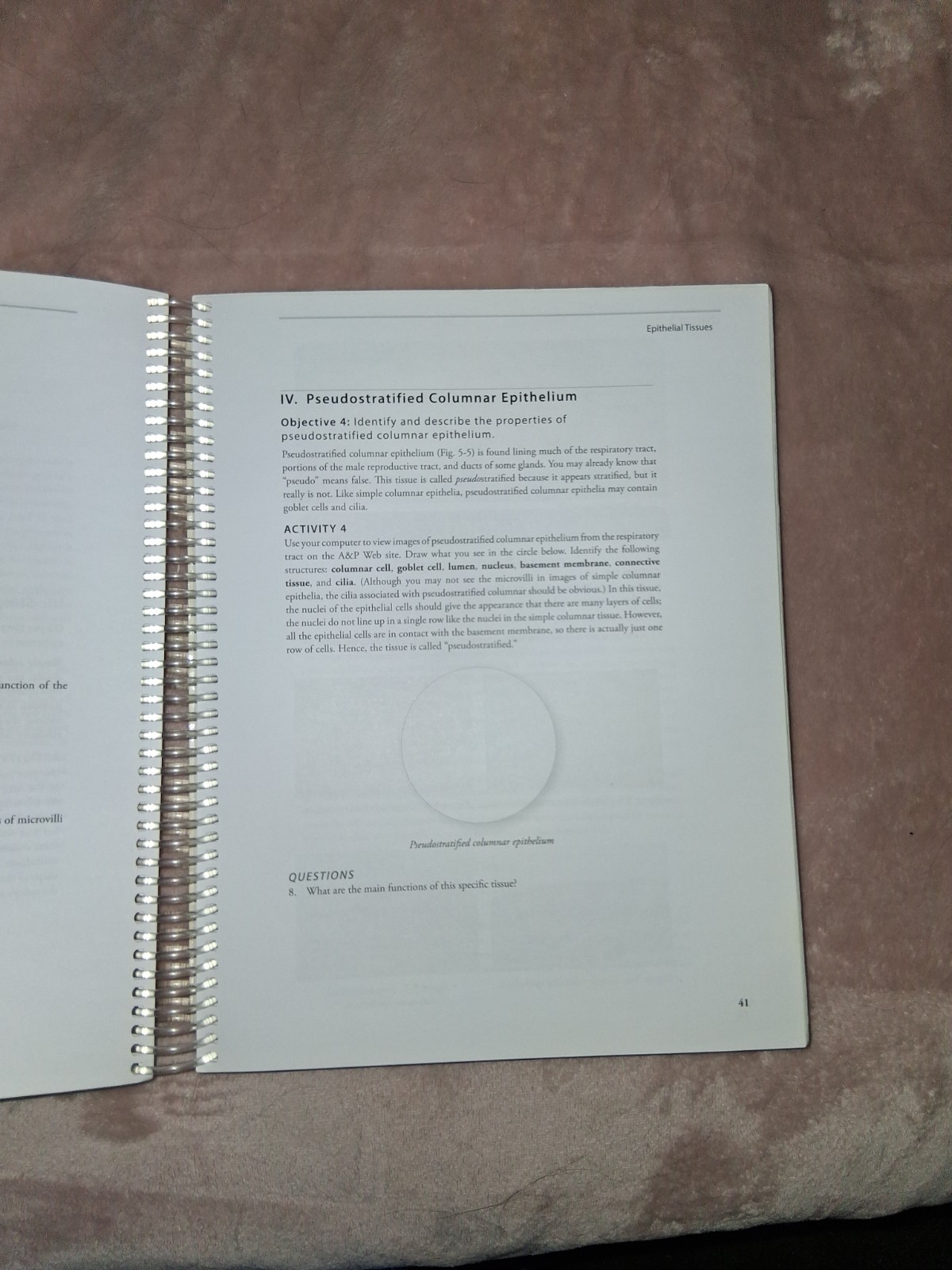 Hayden McNeil Anatomy & Physiology I & II Lab Manual Spiral Bound Illustrated