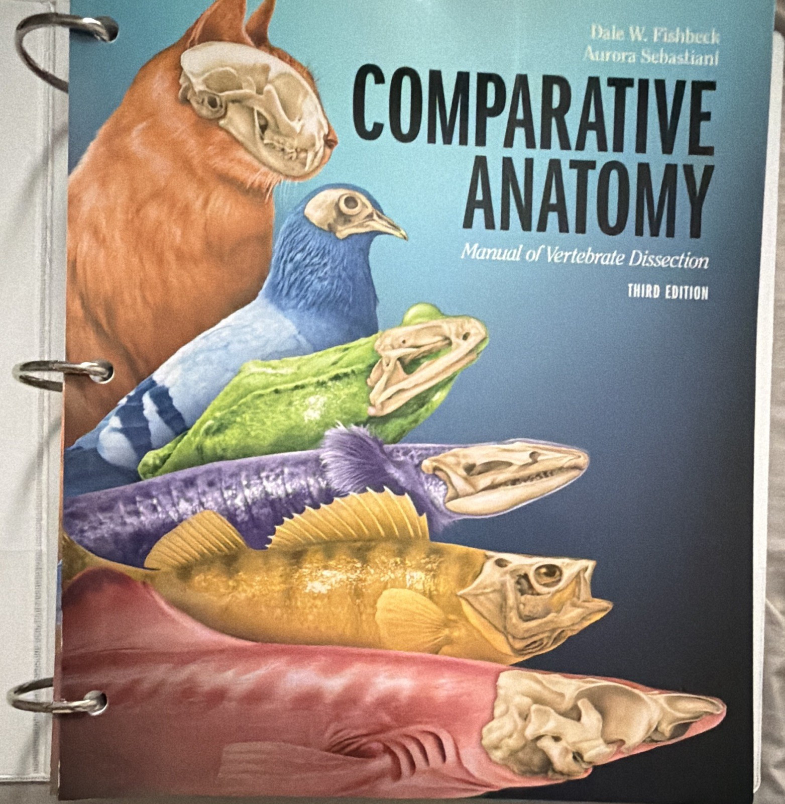 Comparative Anatomy: Manual of Vertebrate Dissection 3rd Ed Ringbound