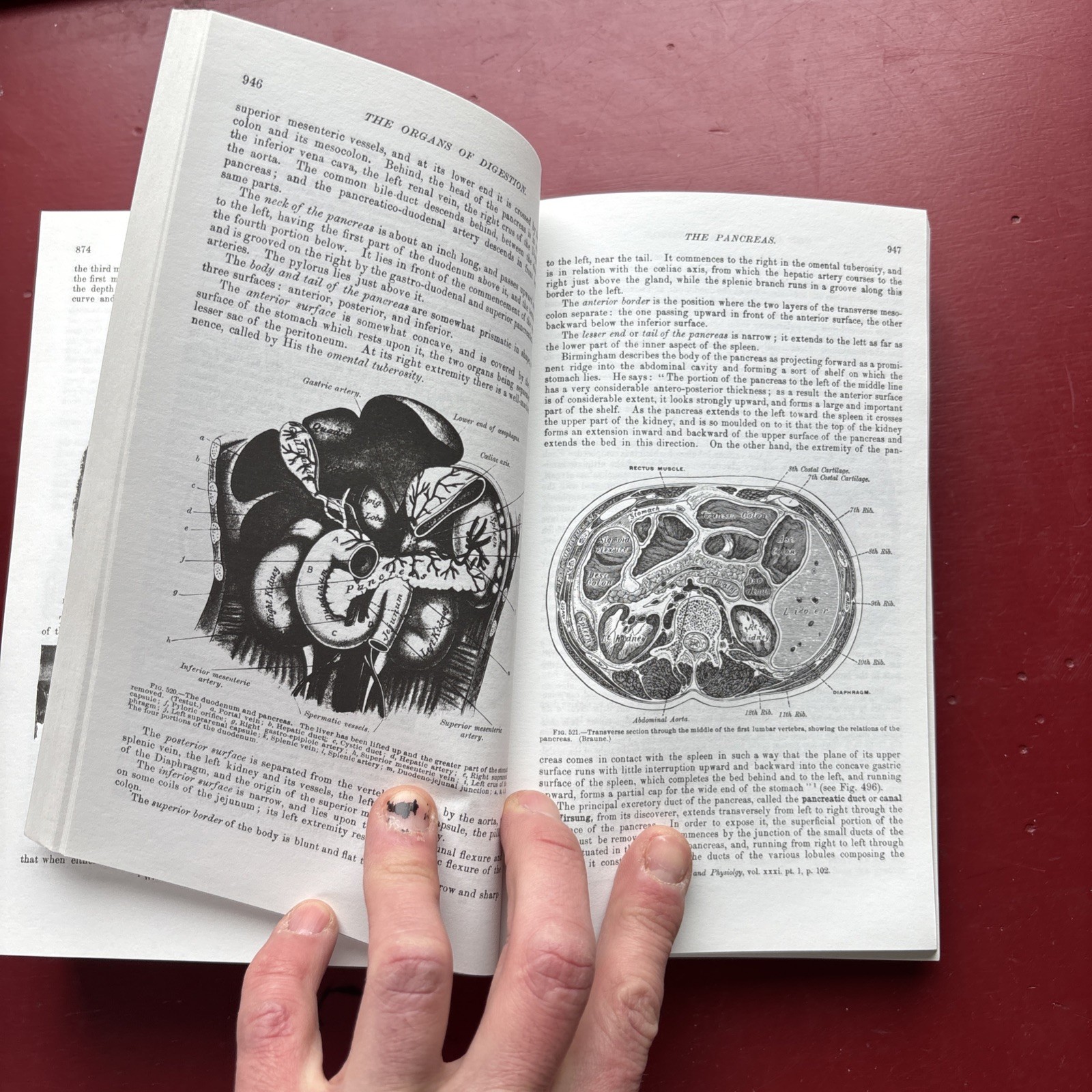 Gray’s Anatomy : The Unabridged Running Press Edition of the American Classic by