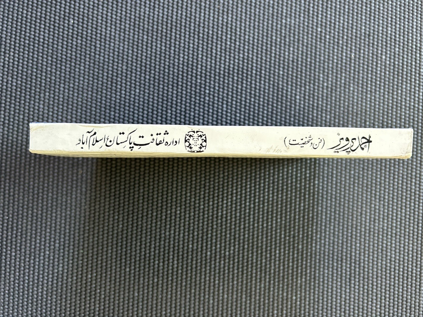 Ahmed Pervez : Pakistan Artist Painter
