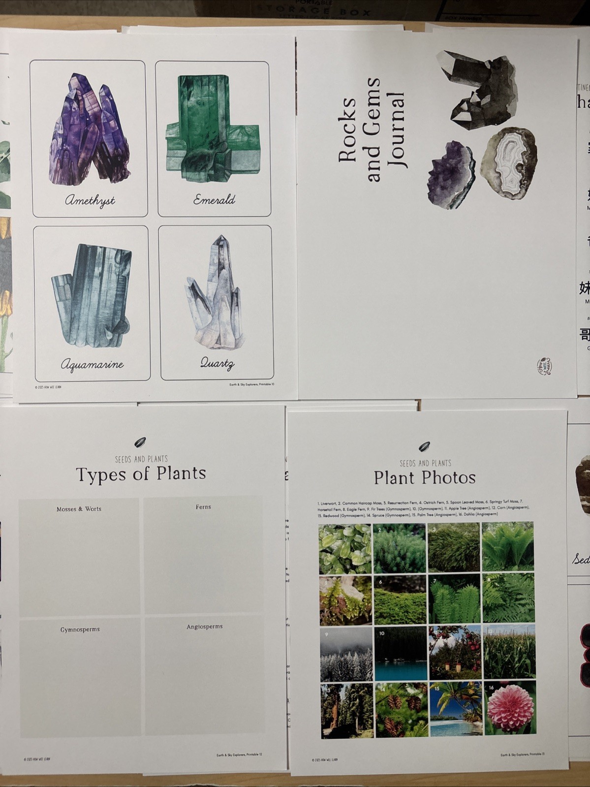 How Wee Learn Homeschool Curriculum Printables Kindergarten Science Animals Set