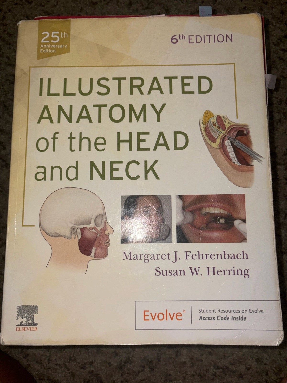 Illustrated Anatomy of the Head and Neck by Margaret J. Fehrenbach and Susan W.