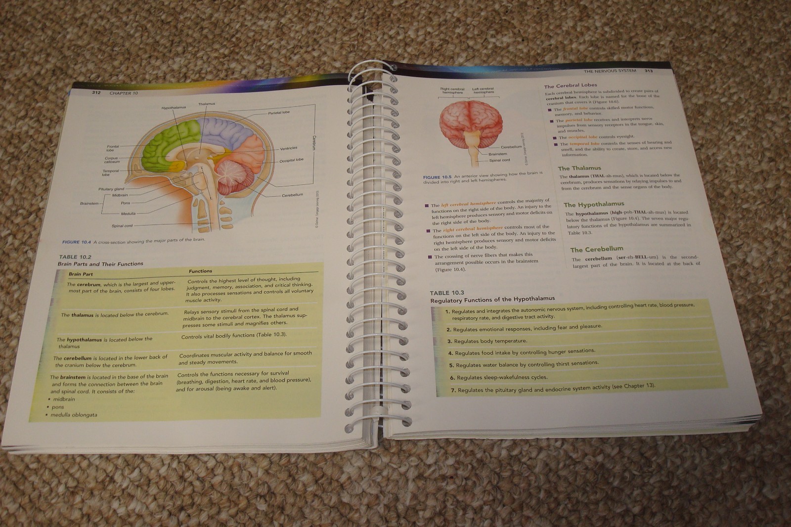 Medical Terminology for Health Professions 7th Edition Spiral Bound. Ann Ehrlich