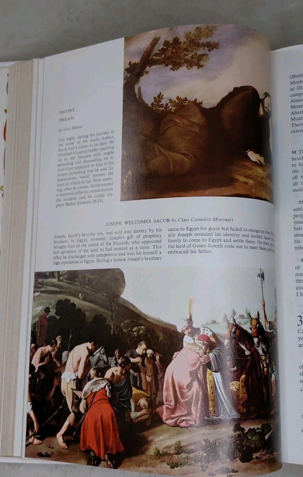 White Holy Bible The New American Bible Catholic