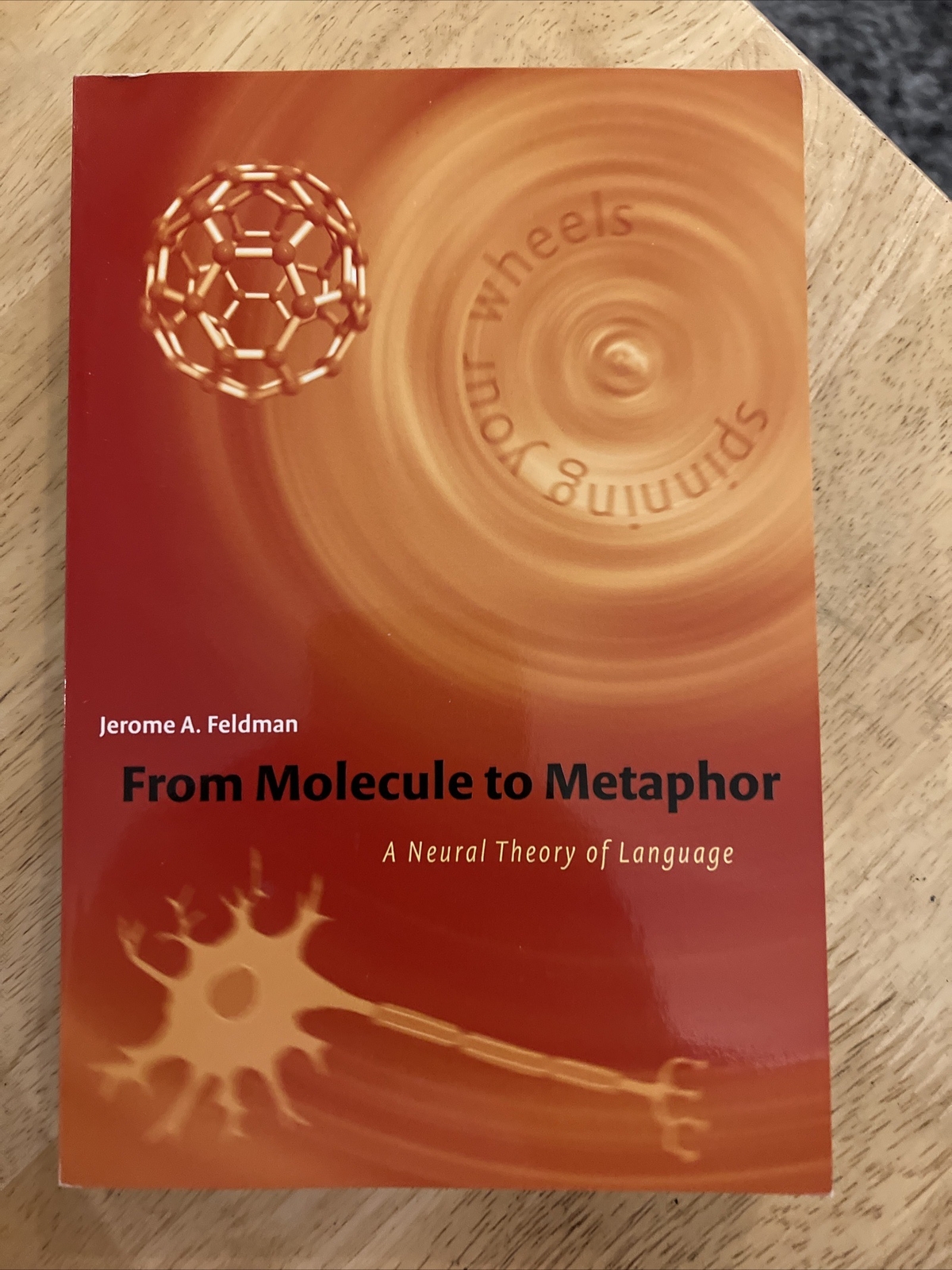 From Molecule to Metaphor : A Neural Theory of Language, Paperback by Feldman