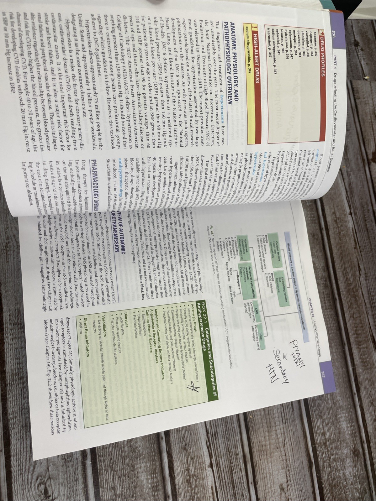 Pharmacology and the Nursing Process: Tenth Anniversary Edition 2023 Paperback