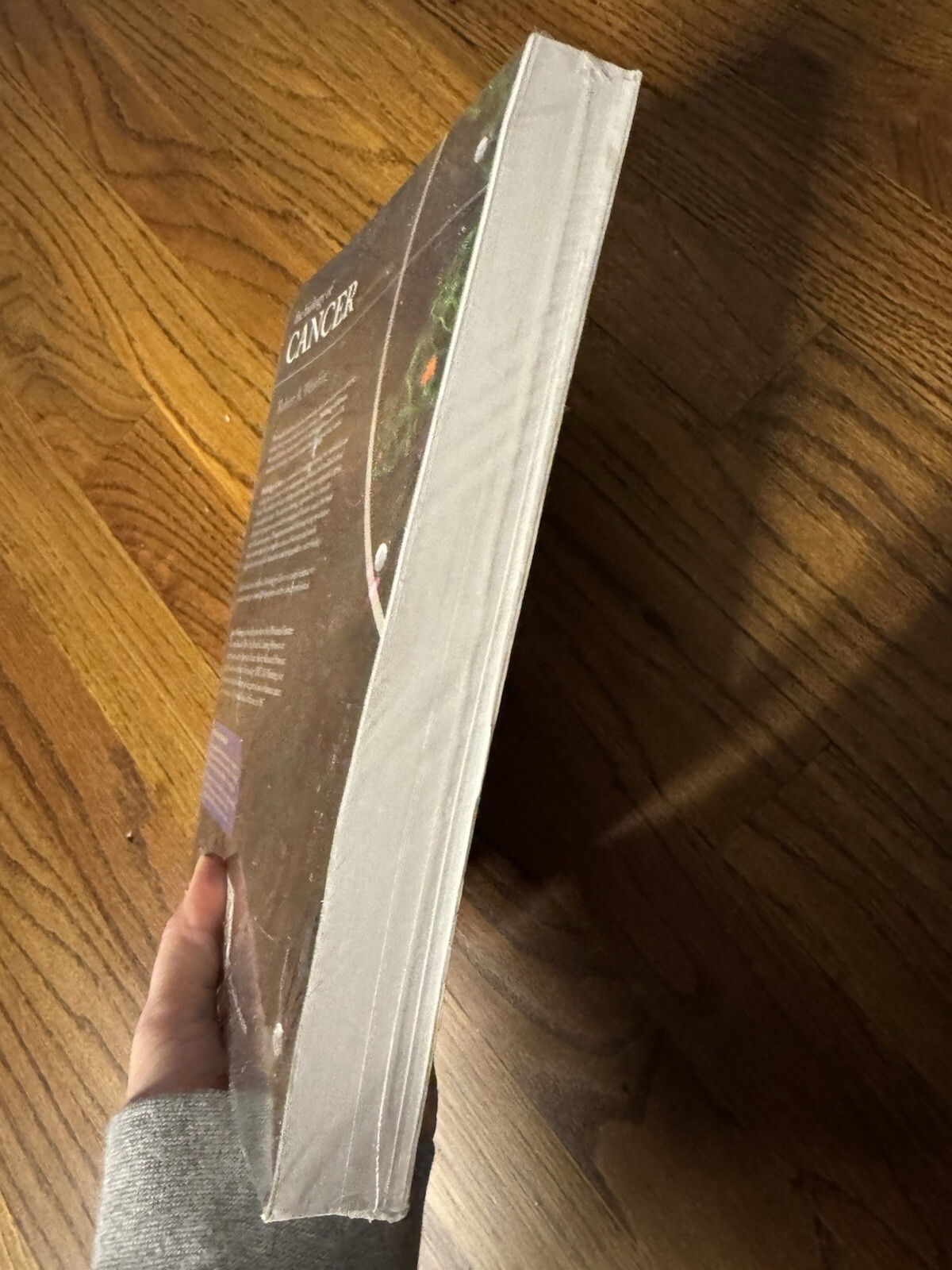 Biology of Cancer by Robert A. Weinberg (2013, Ringbound)
