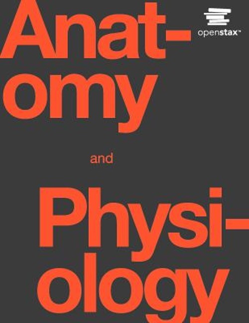 Anatomy and Physiology Hardcover