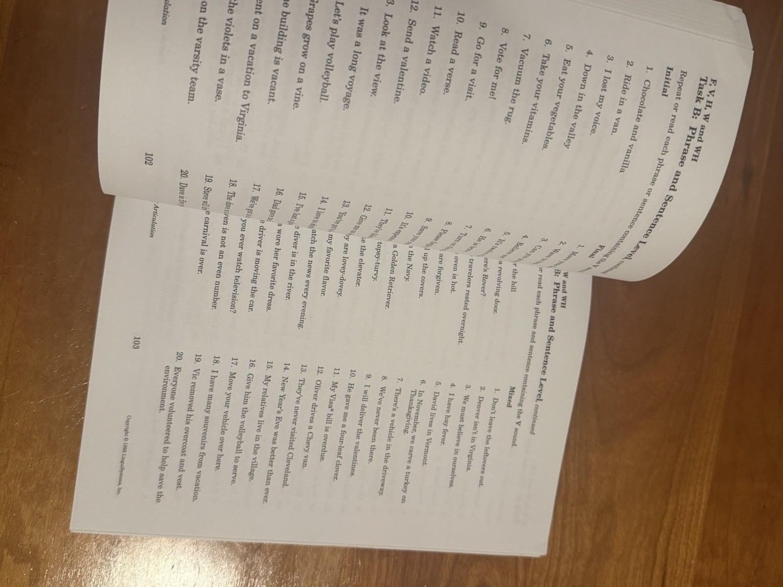 1998 Linguisystems HELP for ARTICULATION 1998 Vintage Exceptional condition