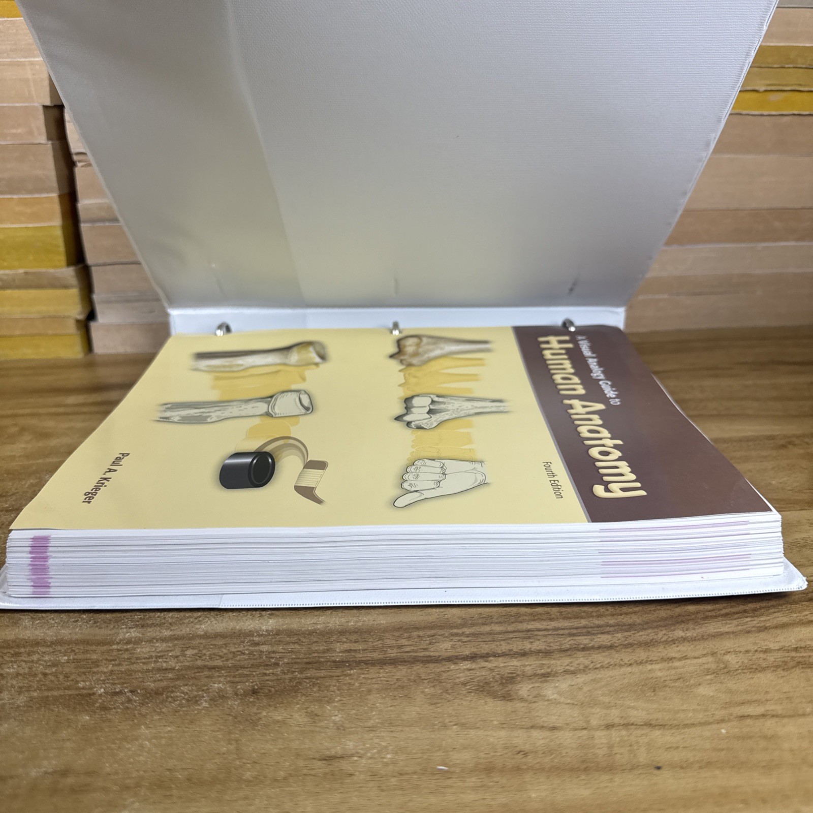 Visual Analogy Guide to Human – Loose Leaf, by Krieger Paul A. – Acceptable
