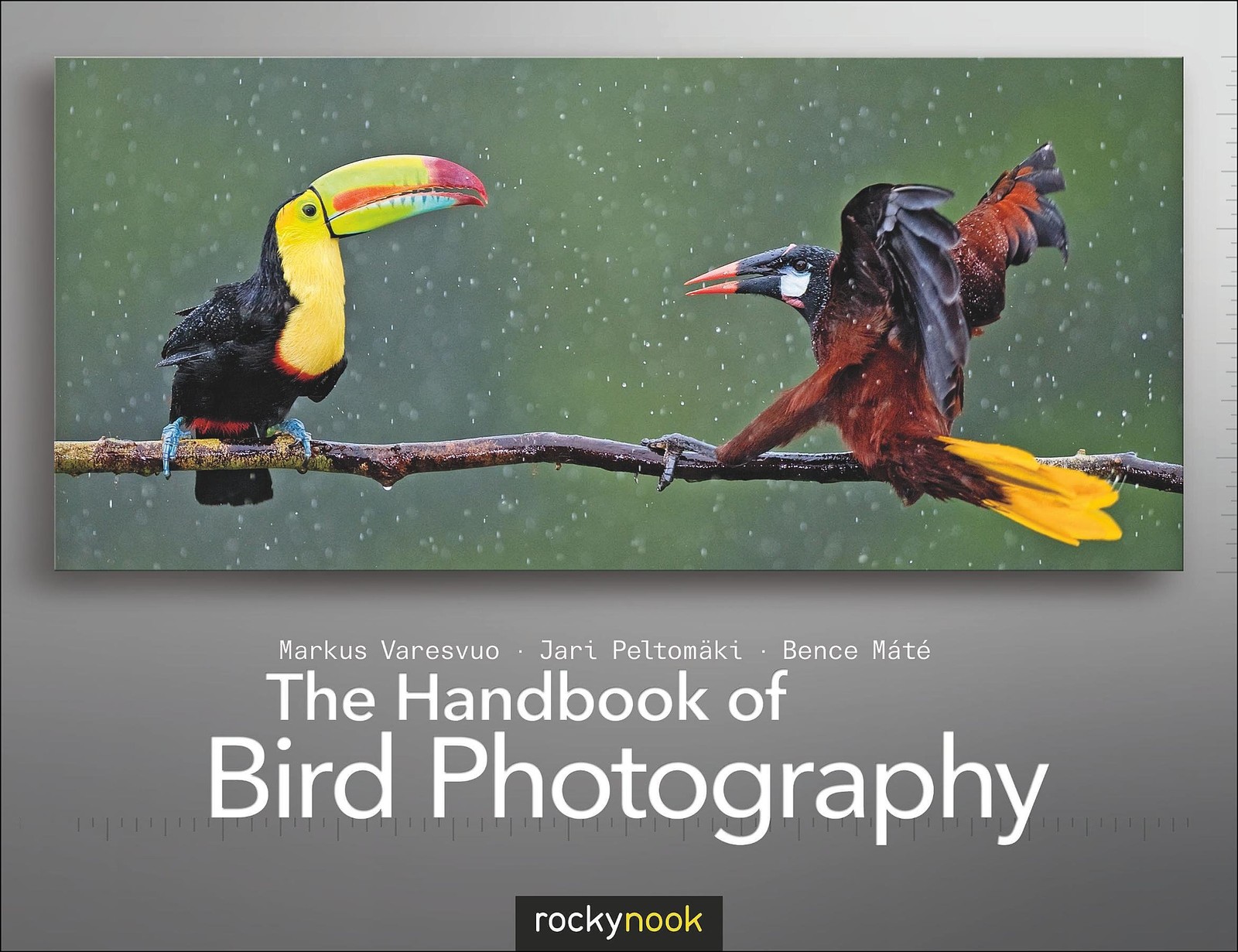 The Handbook of Bird Photography – Peltomaki, Jari|Varesvuo, Markus|Mate, Be…