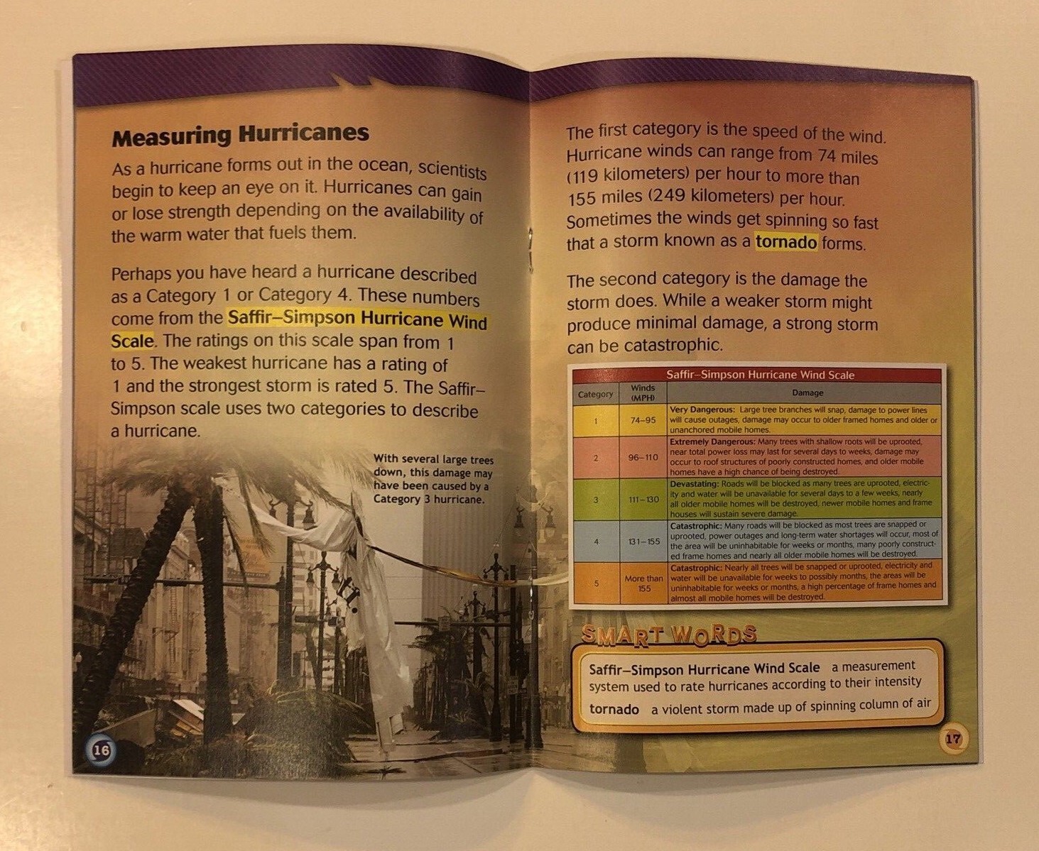 Science Weather Unit Book Bundle Elementary Grades Lot of 7 Homeschool