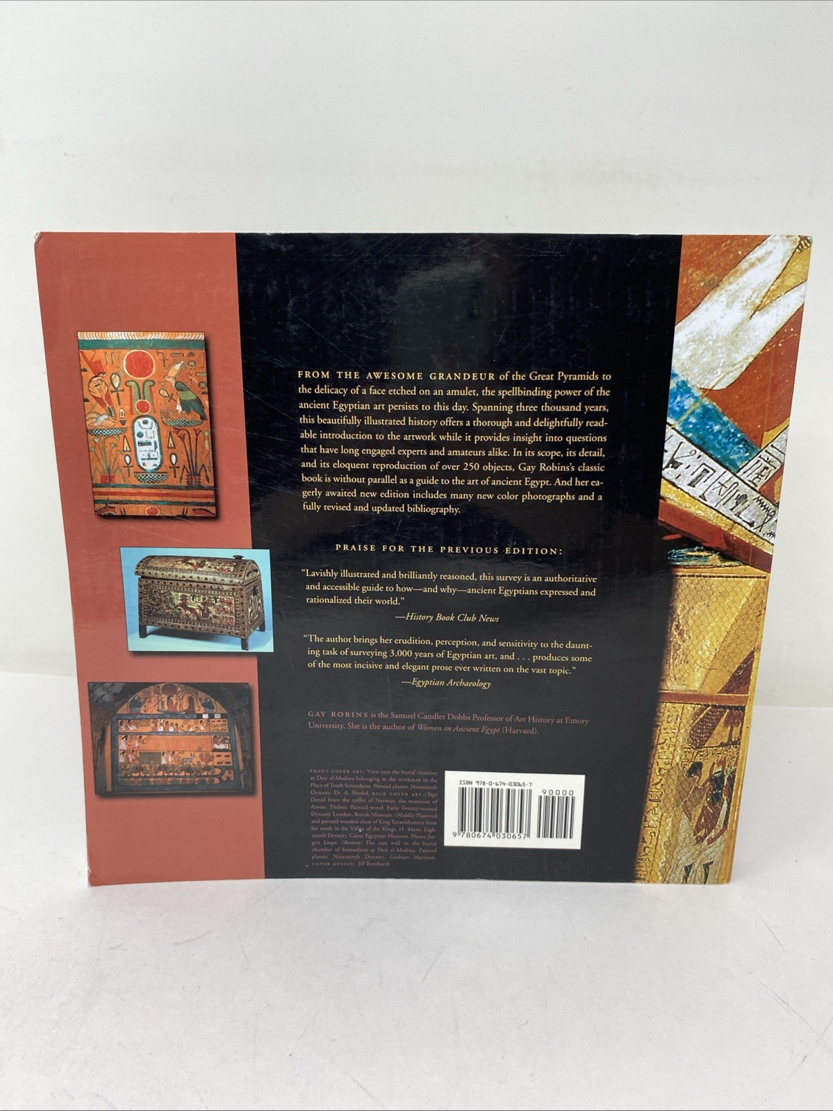 Art of Ancient Egypt : Revised Edition Gay Robins 2008 Paperback FREE SHIPPING!