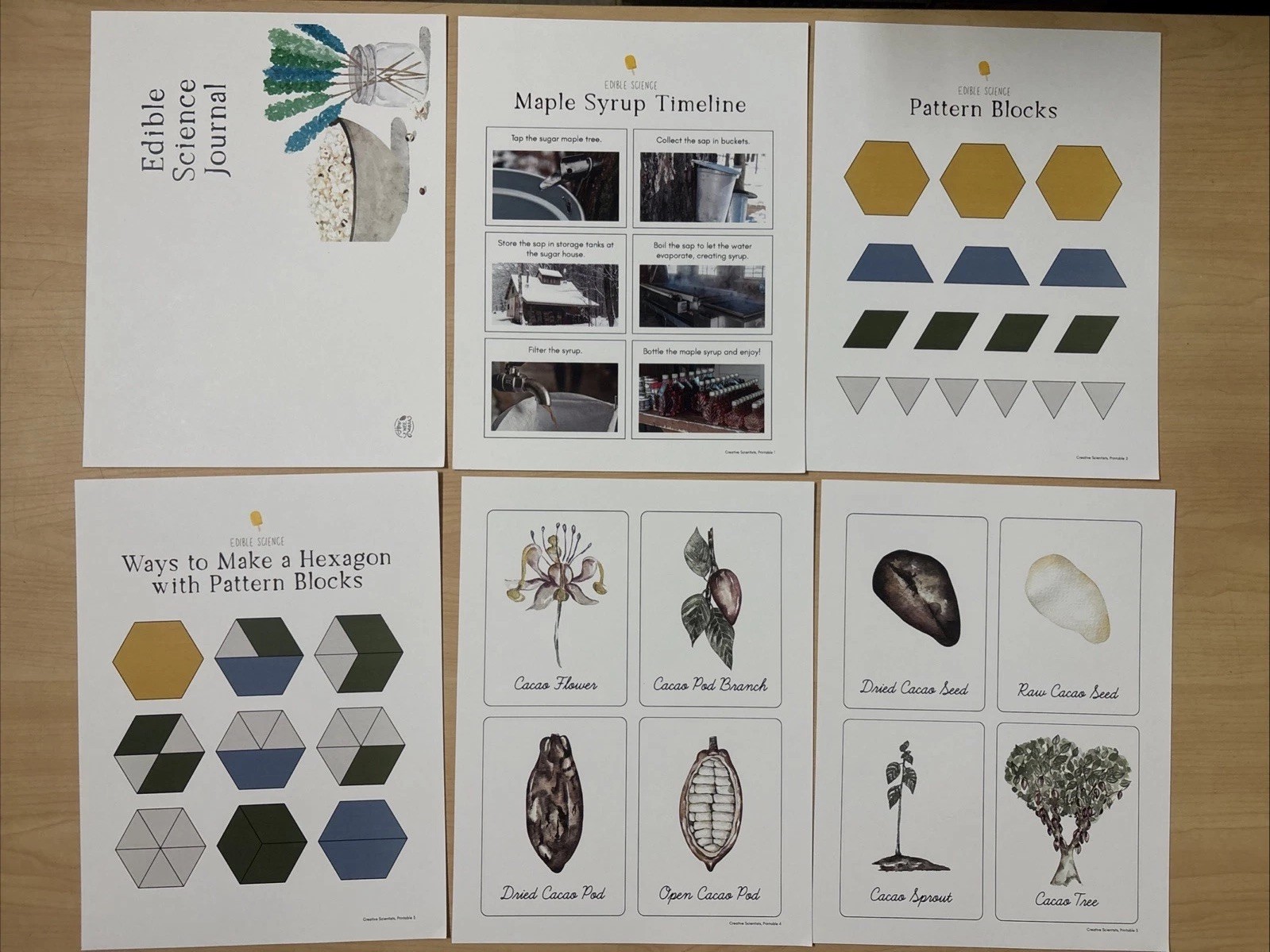 How Wee Learn Homeschool Curriculum Printables Kindergarten Science Animals Set