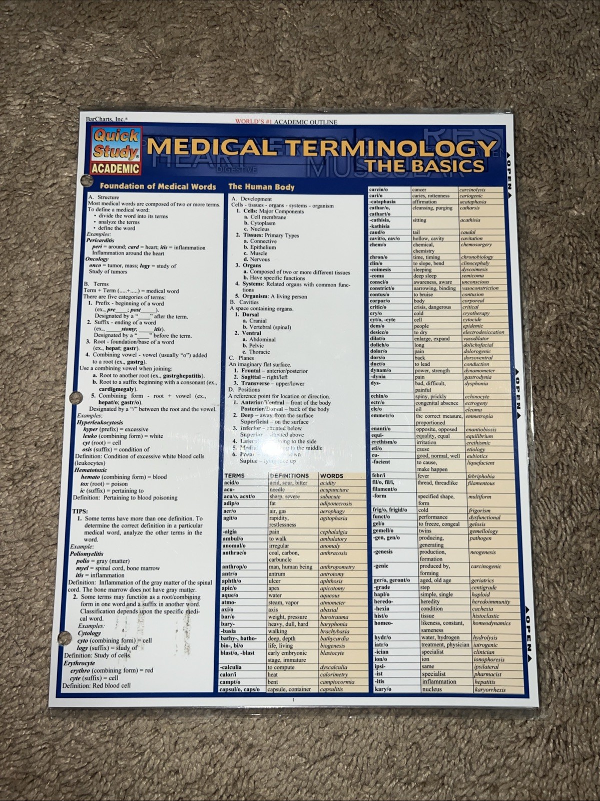 Medical Terminology: the Basics : A QuickStudy Laminated Reference