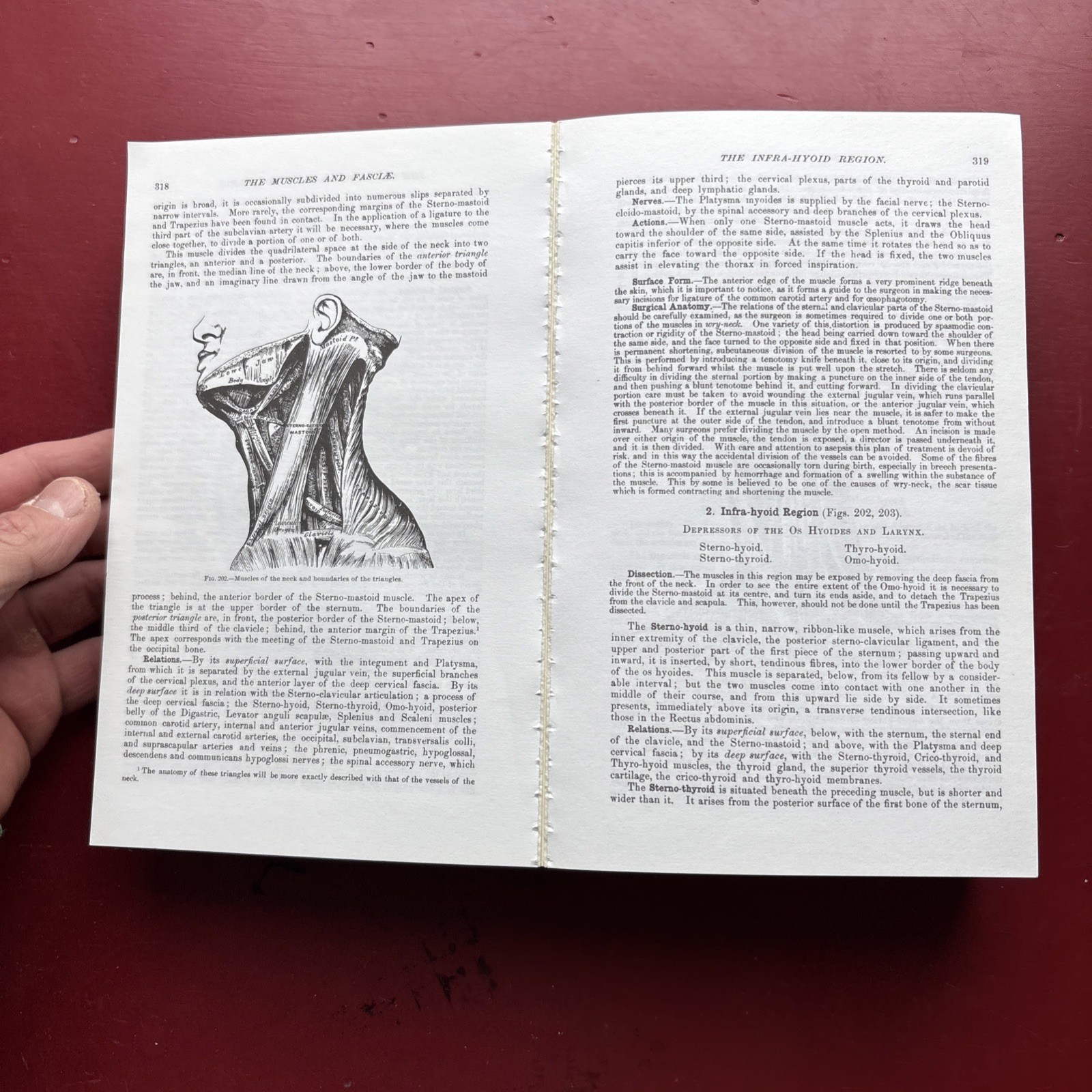 Gray’s Anatomy : The Unabridged Running Press Edition of the American Classic by