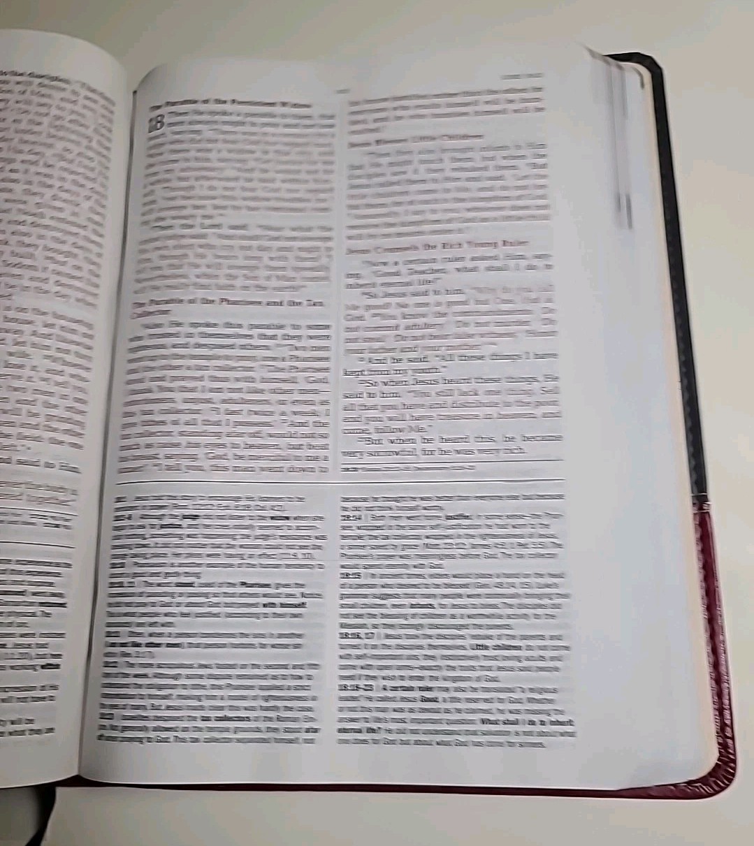 . David JeremiahThe Jeremiah Study Bible, NKJV: Charcoal/Burgundy LeatherLuxe®: