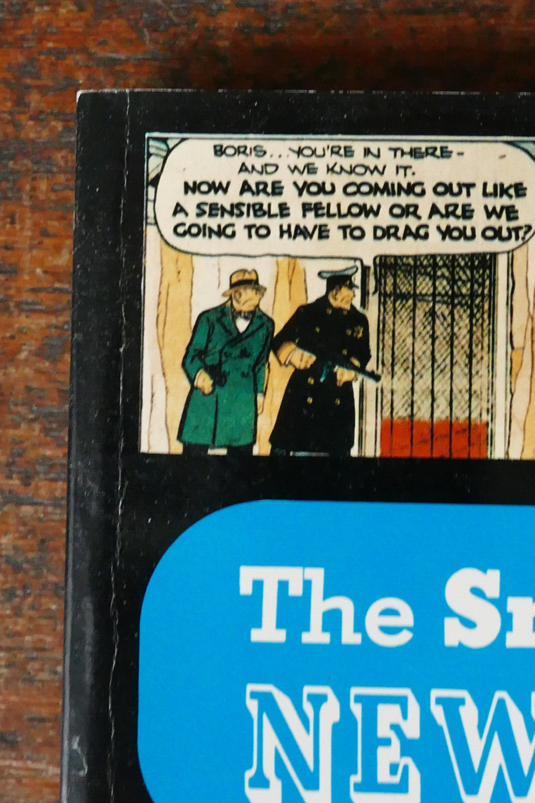 The Smithsonian Collection of Newspaper Comics Trade Paperback 1977 Vintage