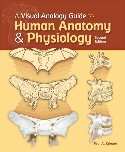 A Visual Analogy Guide to Human Ana…, Krieger, Paul A