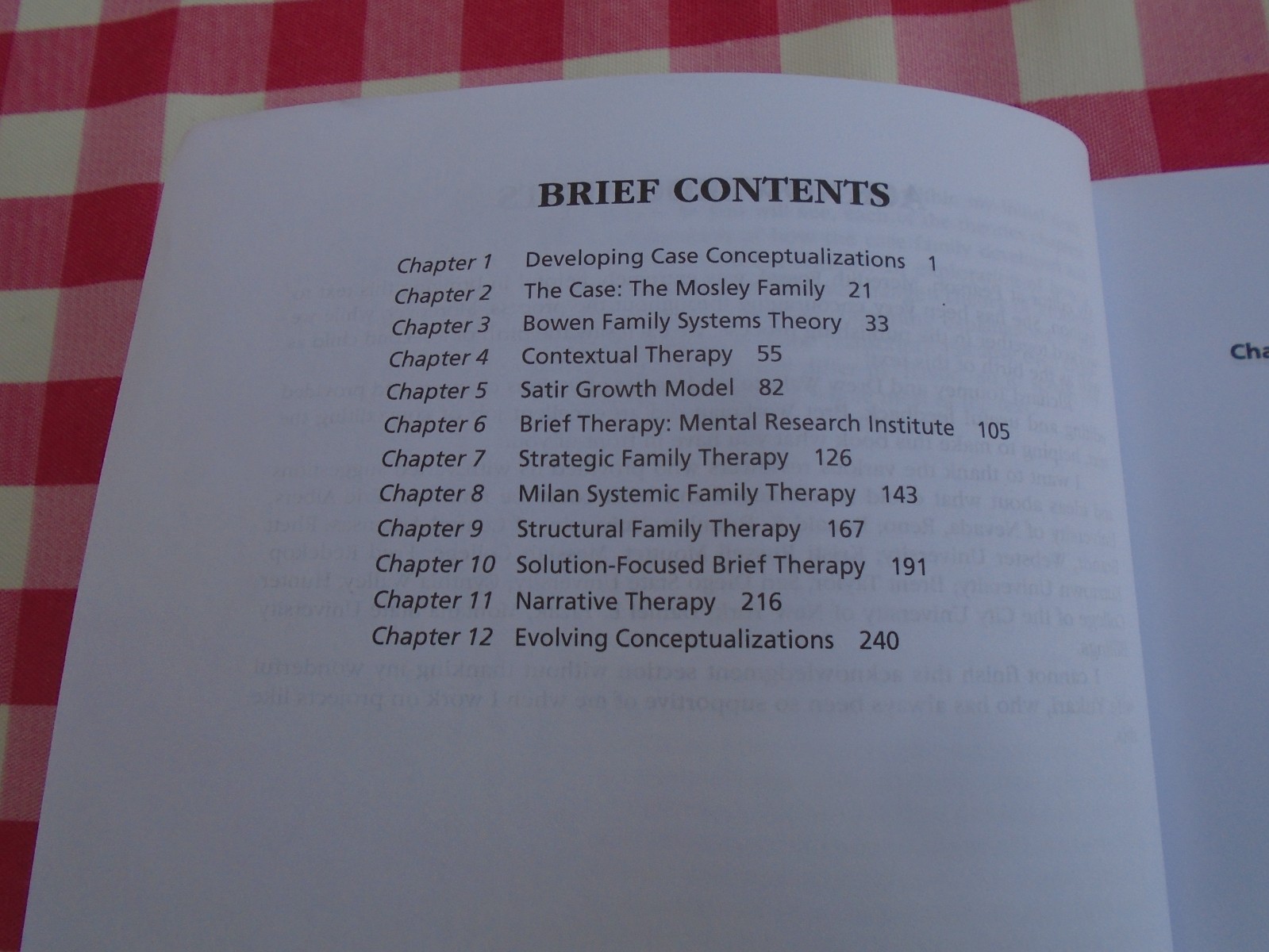 Case Conceptualization in Family Therapy by Michael Reiter