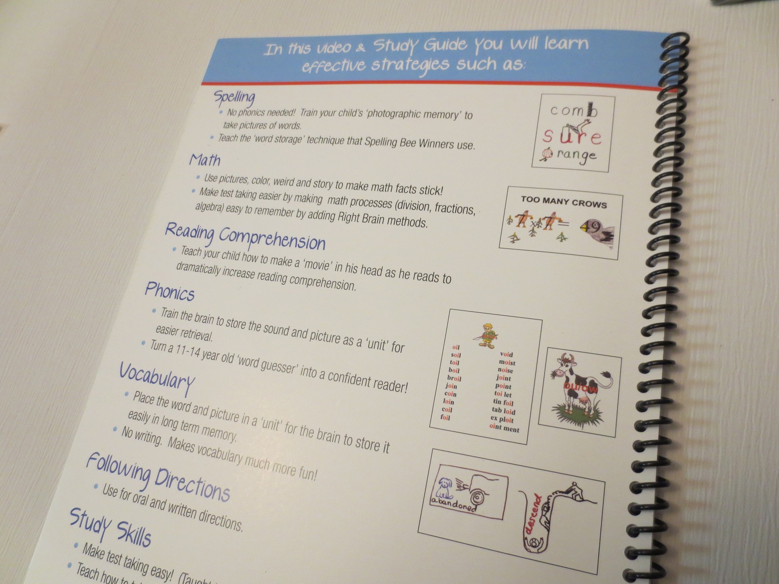 TEACHING THE RIGHT BRAIN CHILD, Study Guide+DVD set, Dianne Craft, math/phonics