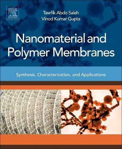Tawfik Abdo Saleh Vinod Kuma Nanomaterial and Polymer Me (Paperback) (UK IMPORT)