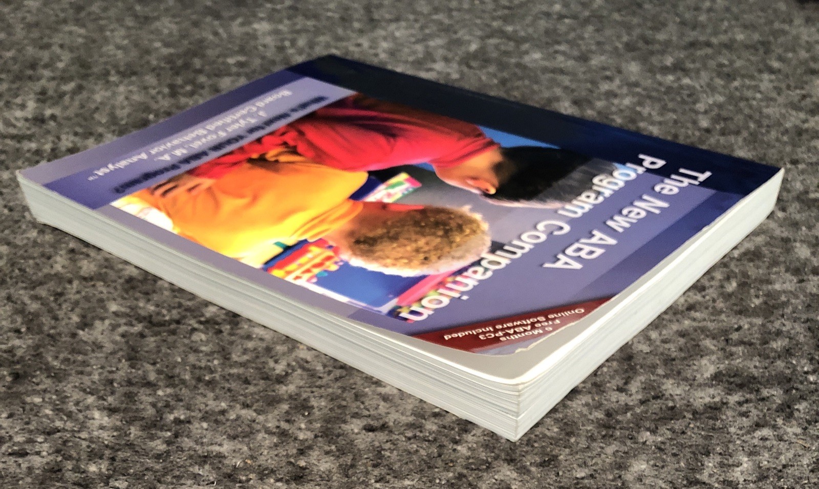 The New ABA Program Companion