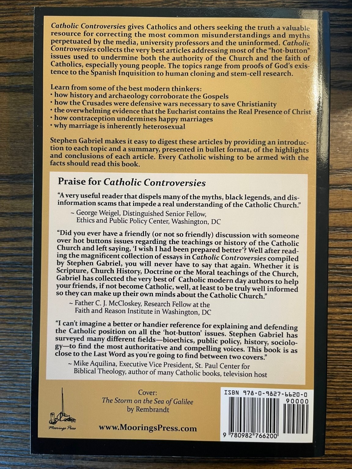 Catholic Controversies Stephen Gabriel 2005 Theology History Moorings Press