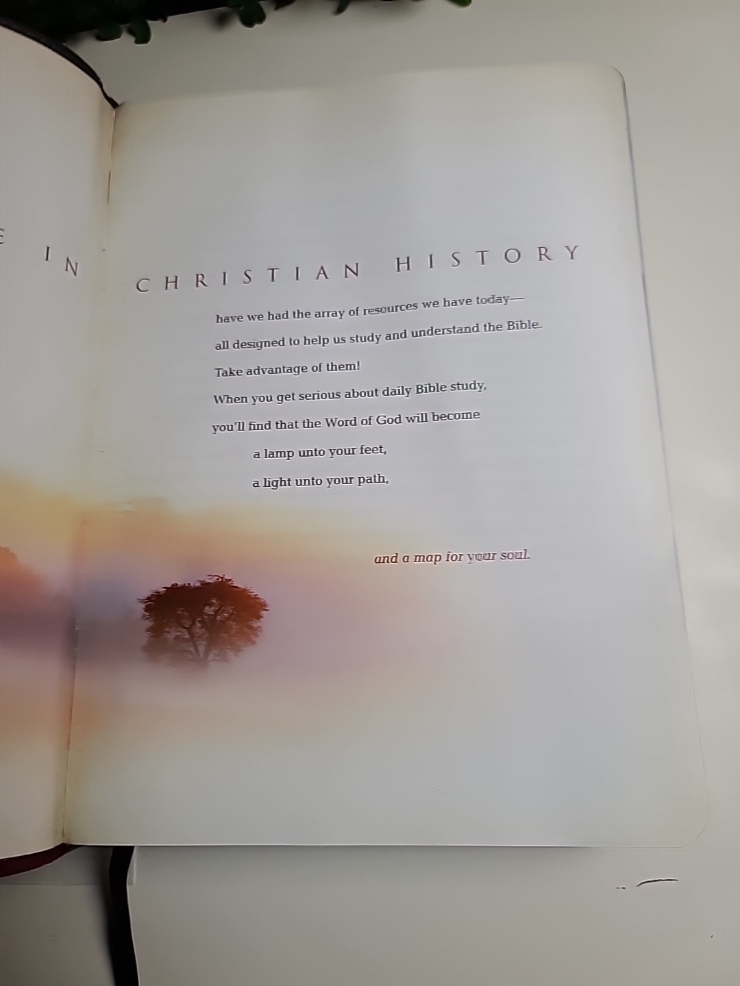 . David JeremiahThe Jeremiah Study Bible, NKJV: Charcoal/Burgundy LeatherLuxe®: