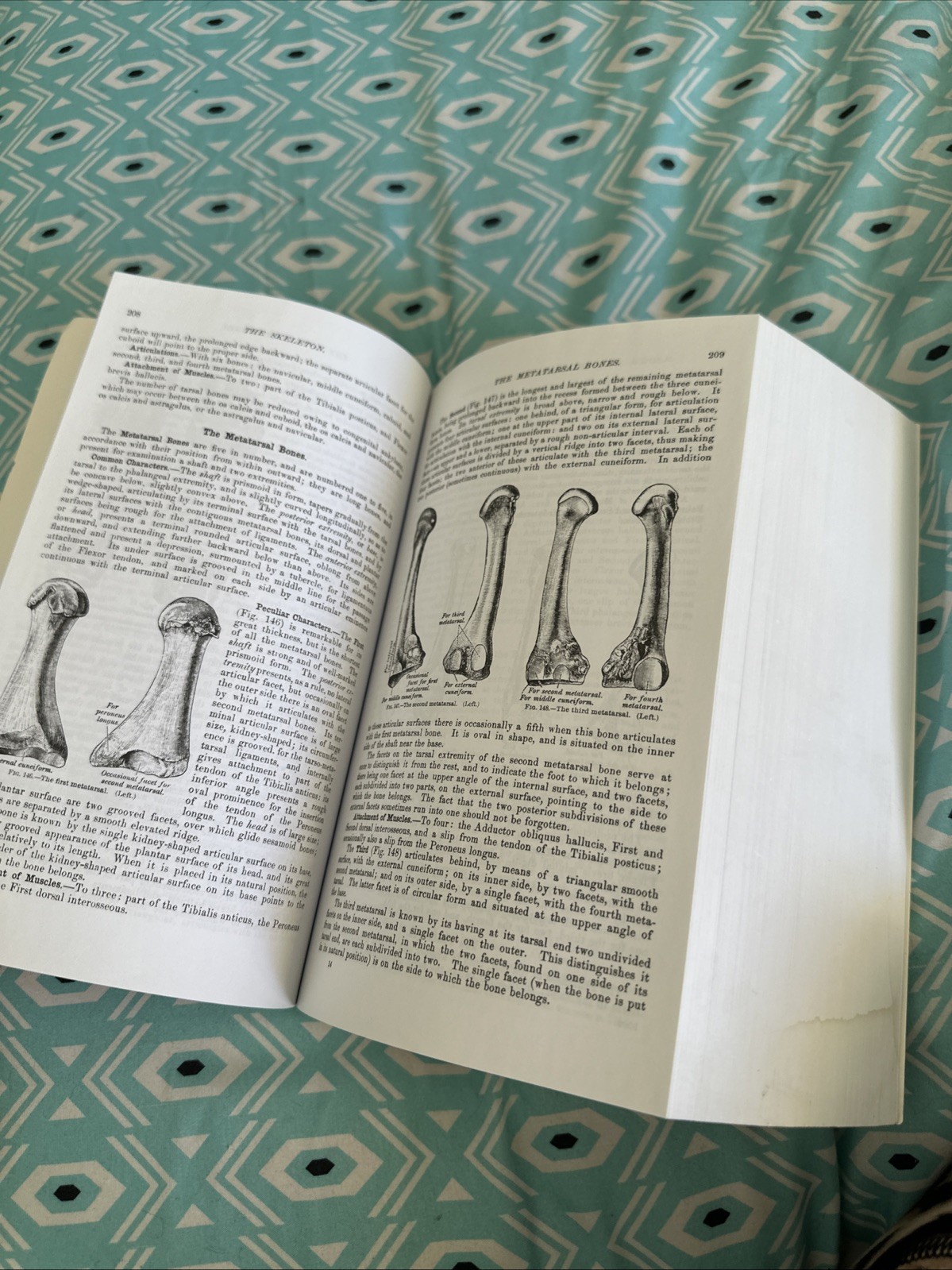 Gray’s Anatomy : The Unabridged Running Press Edition of the American Classic by