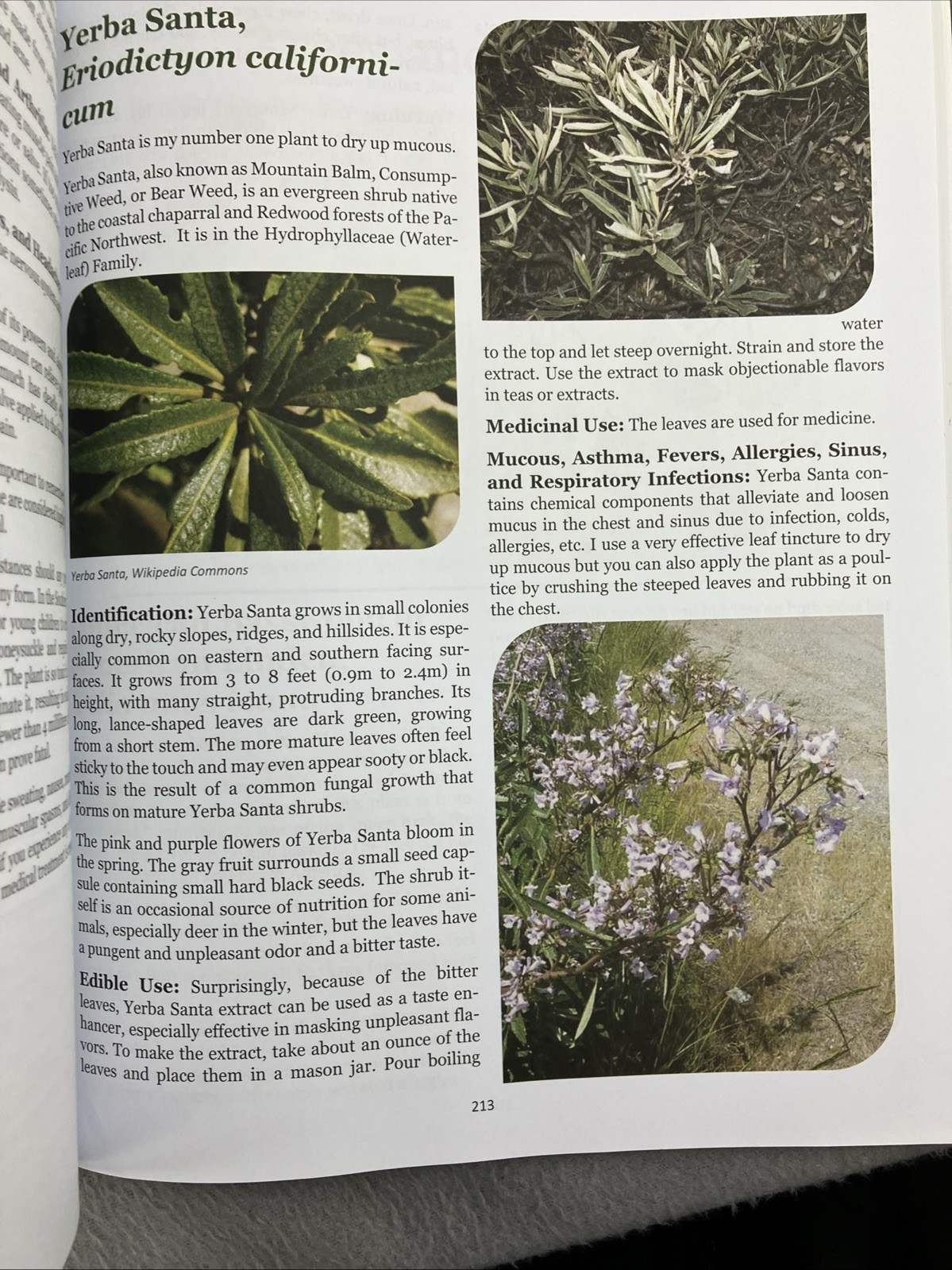 The Lost Book of Herbal Remedies (paperback with color pictures) Herbs Recipes