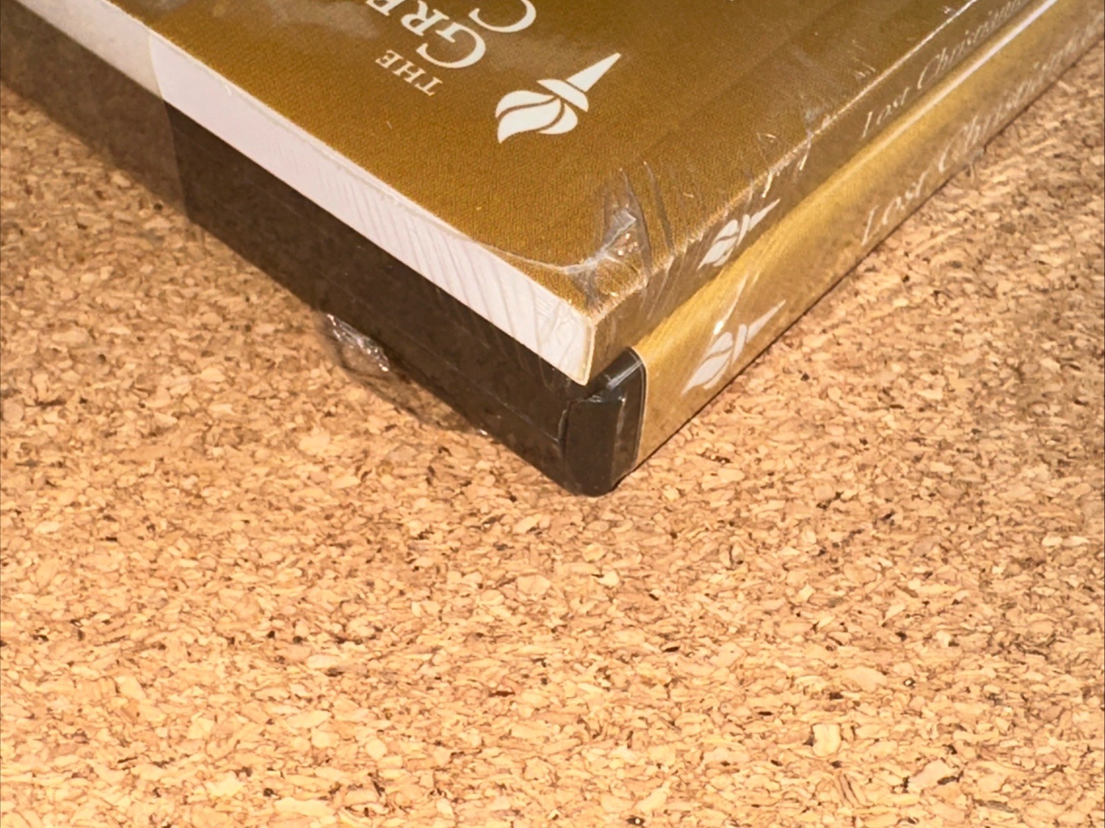 SEALED The Great Courses – Christian Scriptures and Battles Over Authentication