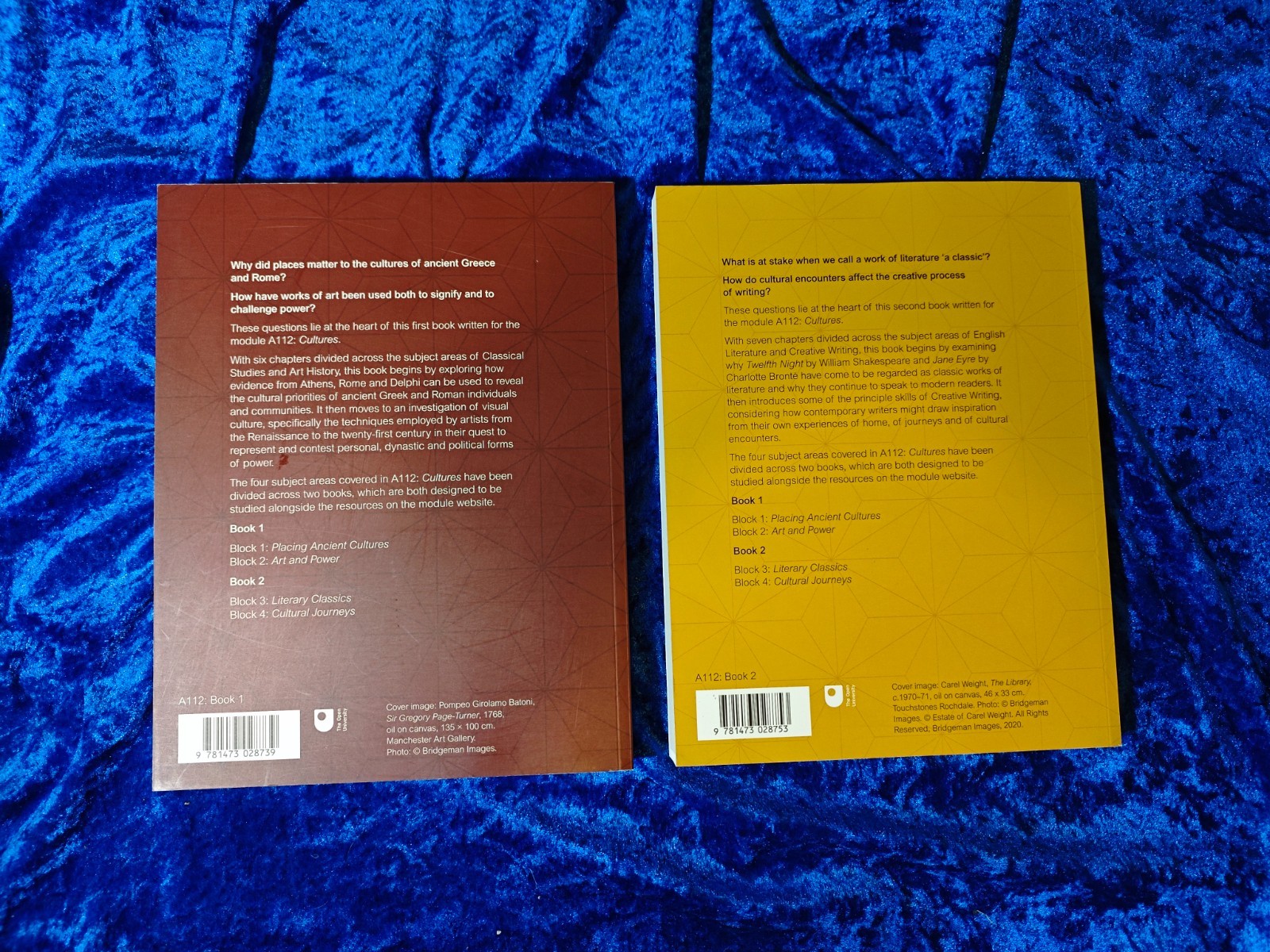 The Open University A112 Cultures Books 1 & 2 Course Textbook / OU – LIKE NEW!