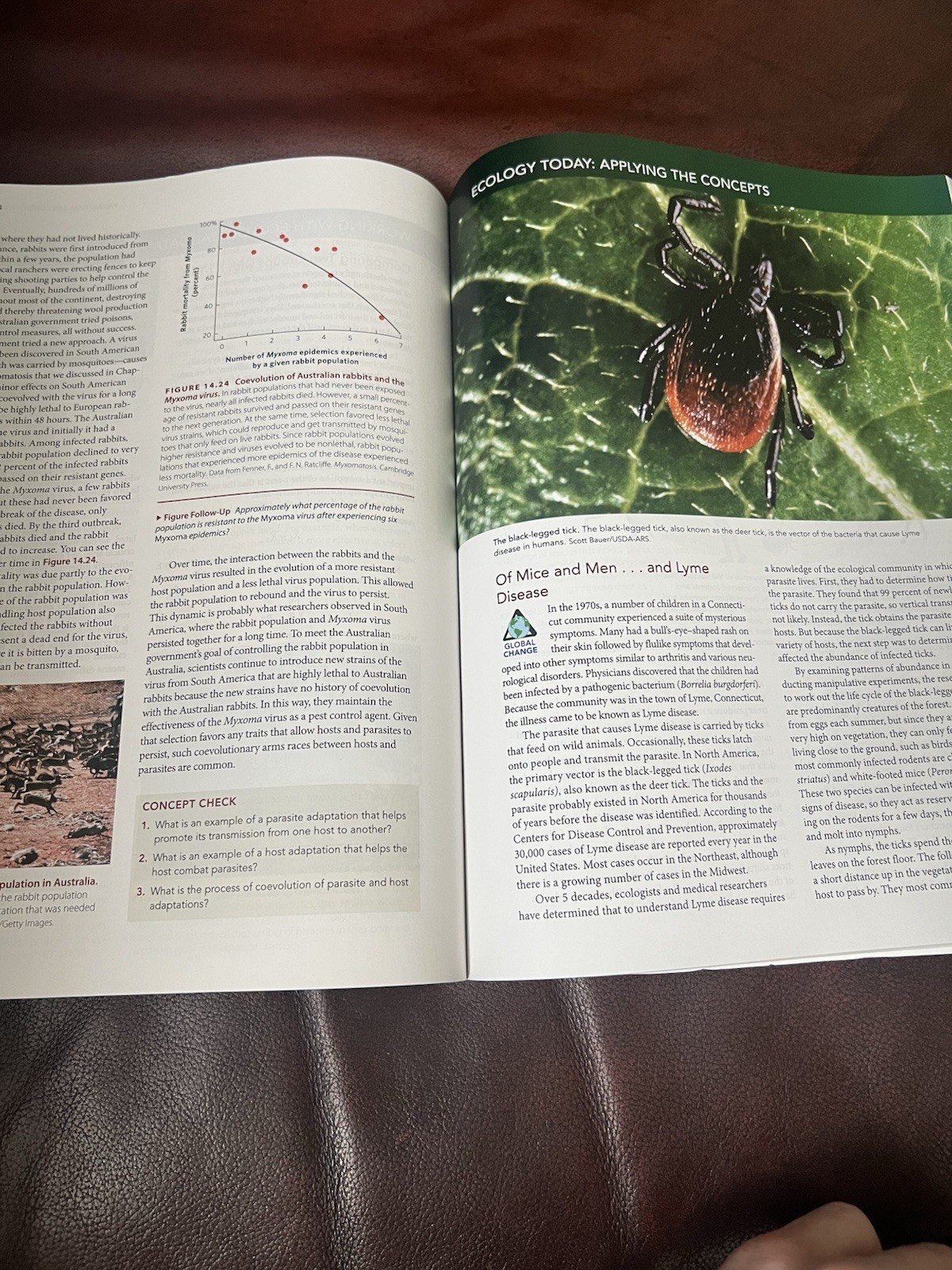Ecology : The Economy of Nature, Paperback by Relyea, Rick