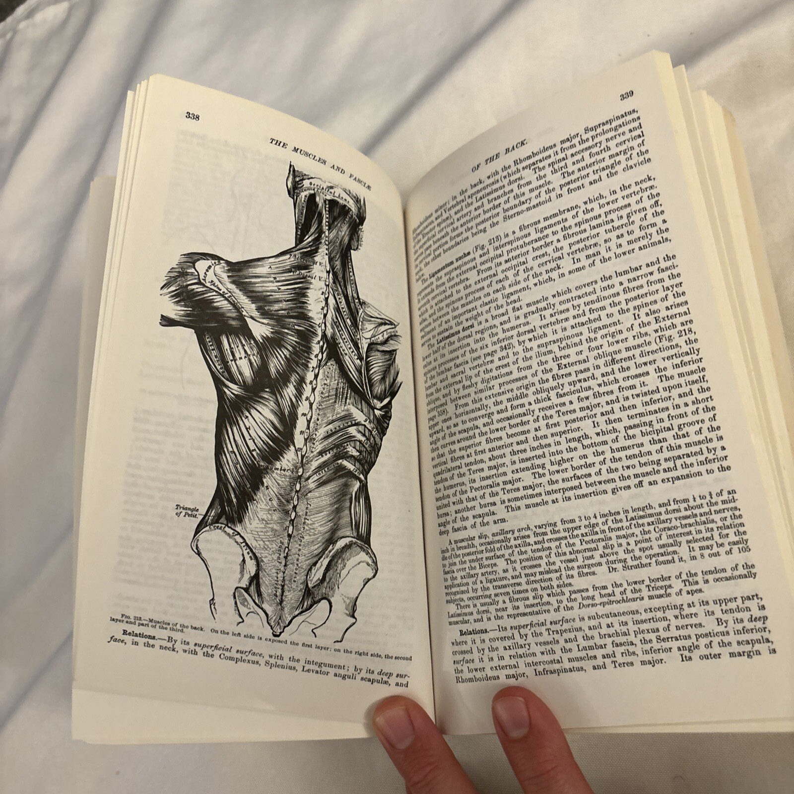 Grays Anatomy; the Unabridged Running Press Edition of the American Classic 1974