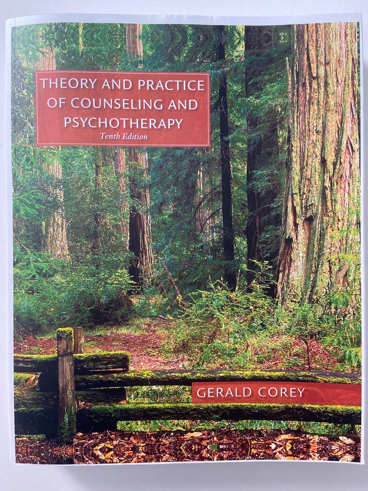 Theory and Practice of Counseling and Psychotherapy 10th Tenth Edition Paperback