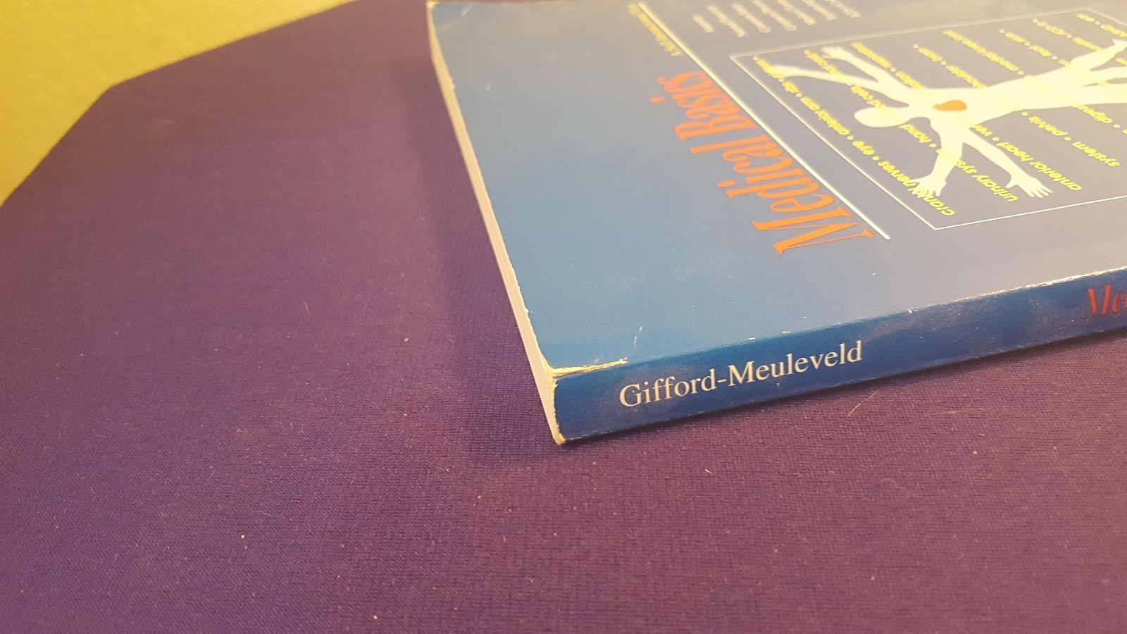 1996 MEDICAL BASICS Paperback Book by LINDA GIFFORD-MEULEVELD