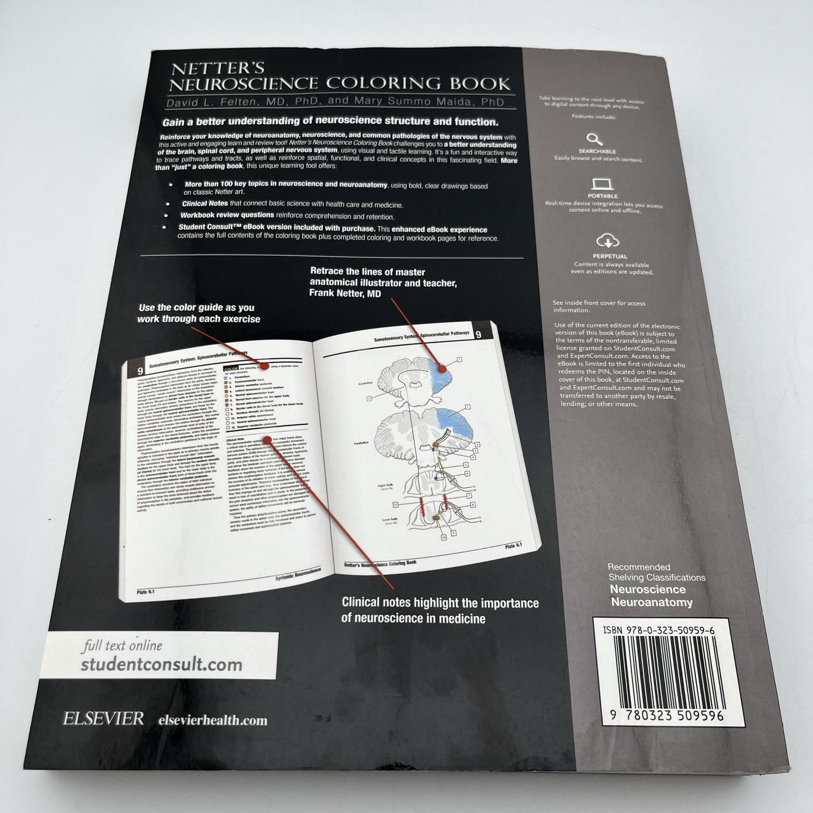 Netter’s Neuroscience Coloring Book, 1e,David L. Felten MD PhD,Mary E Maida P