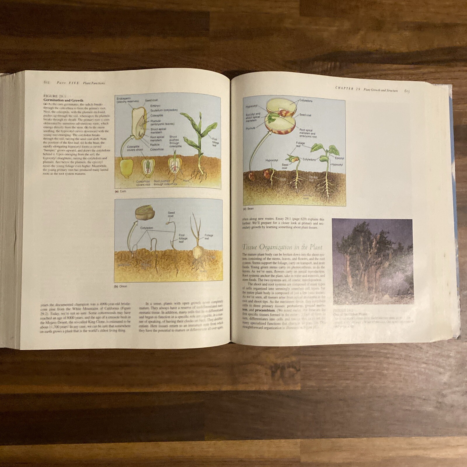 Biology The Science Of Life Fourth Edition