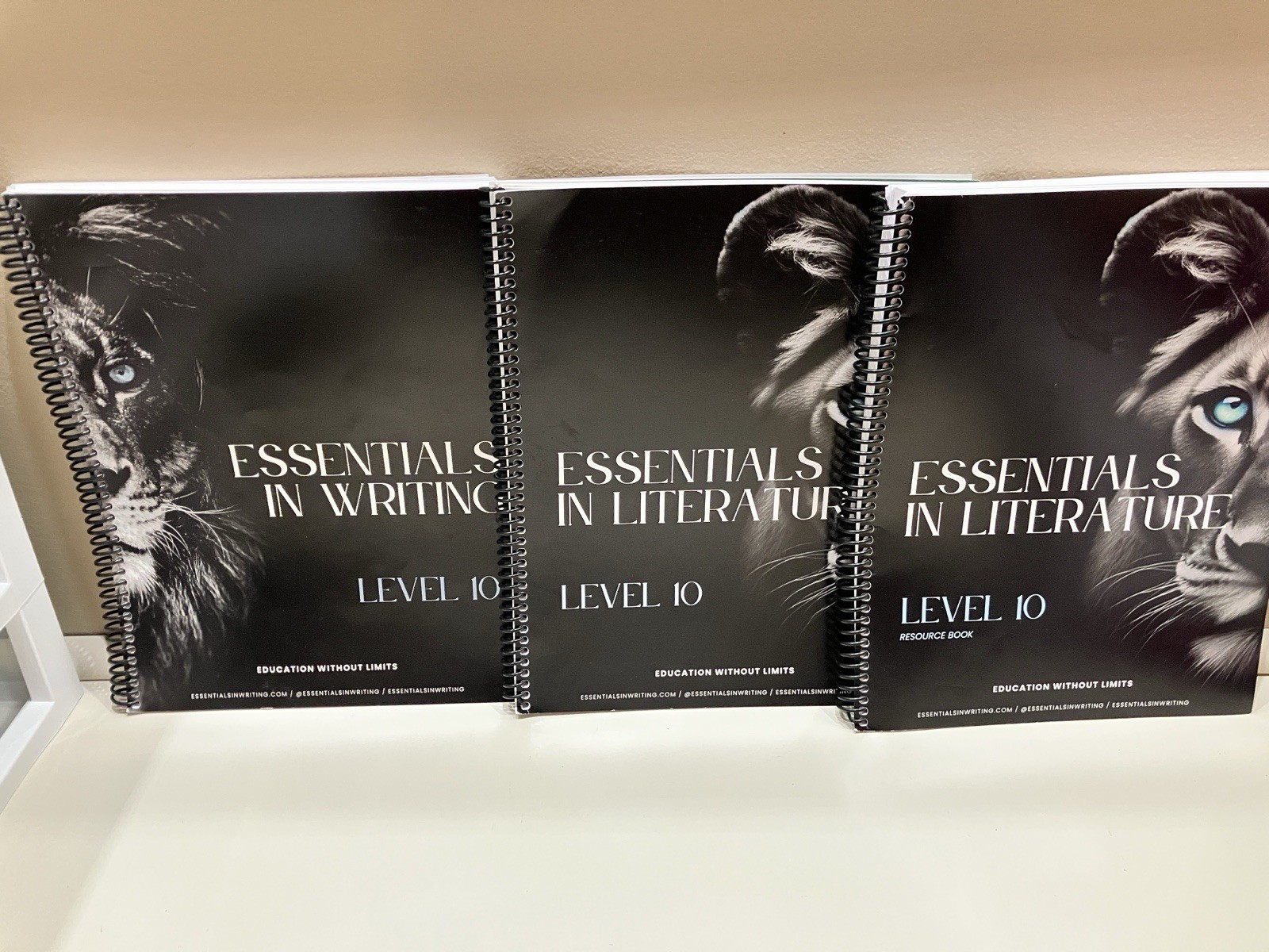 Essentials In Writing & Literature Books (3) Level 10