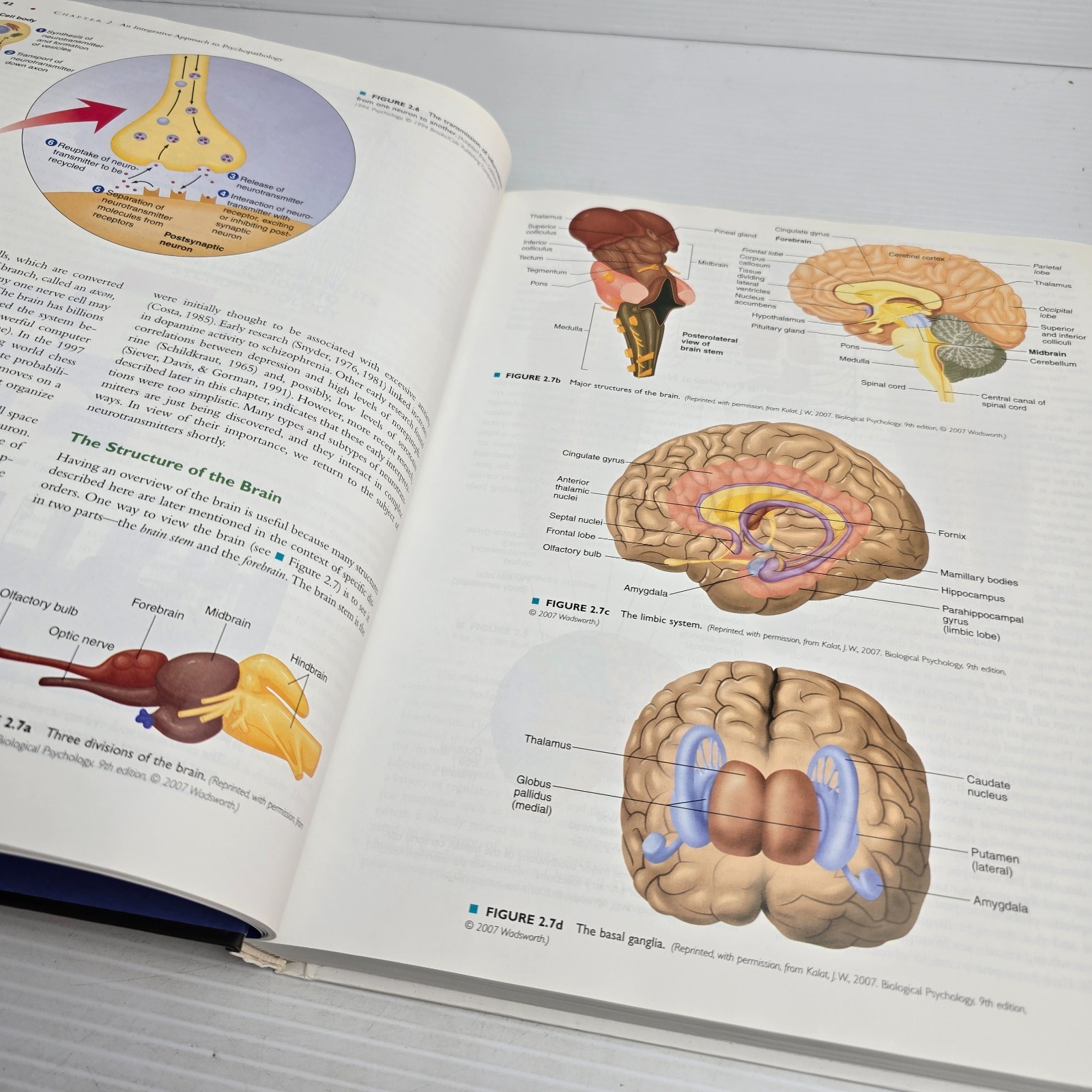 Abnormal Psychology: An Integrative Approach by David H. Barlow; V. Mark Durand