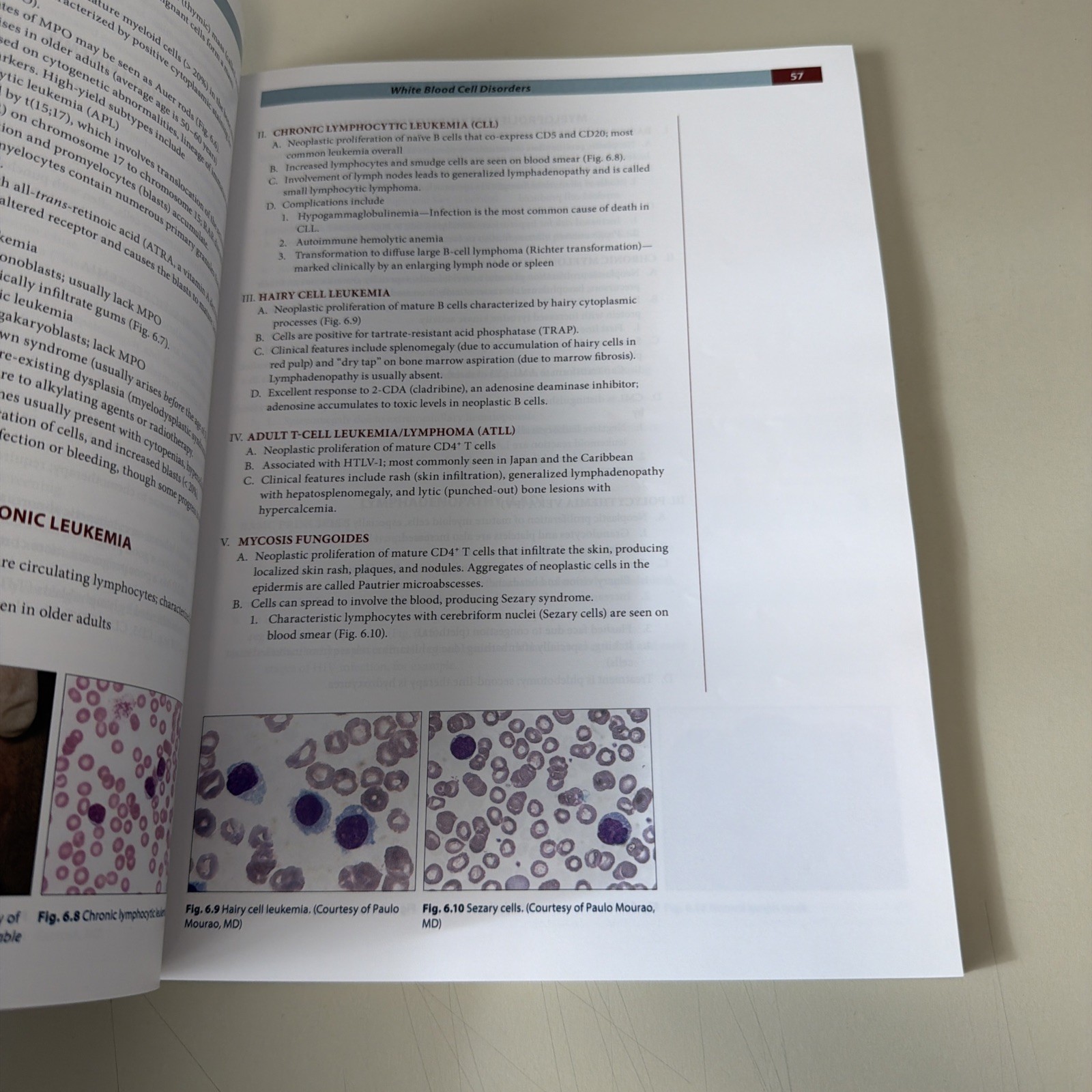 Fundamentals of Pathology by Hussain A. Sattar (2019 Paperback)